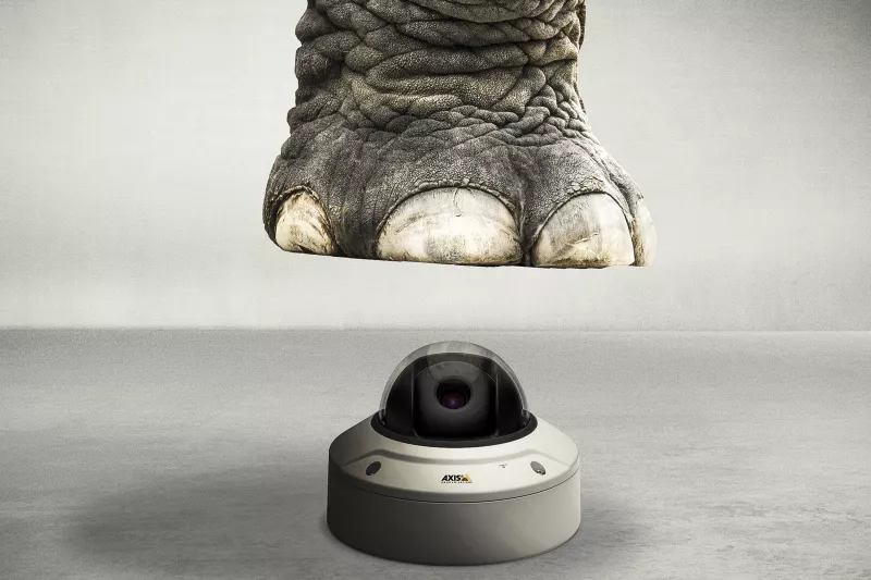 elephant_foot_camera_2600x1732.jpg