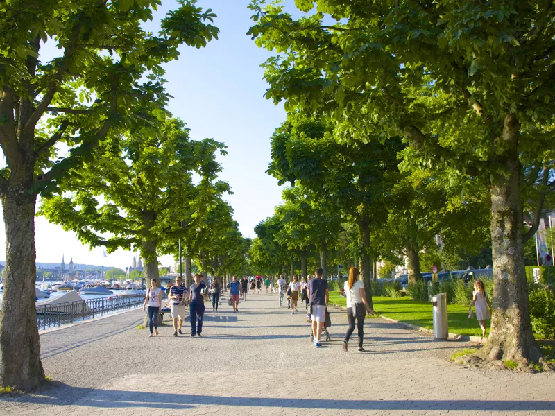 Lake seaside view promenade 
