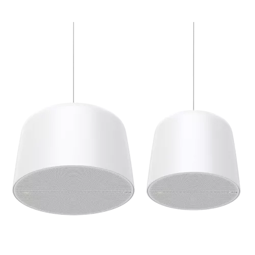 combo image of  AXIS C1510 and C1511